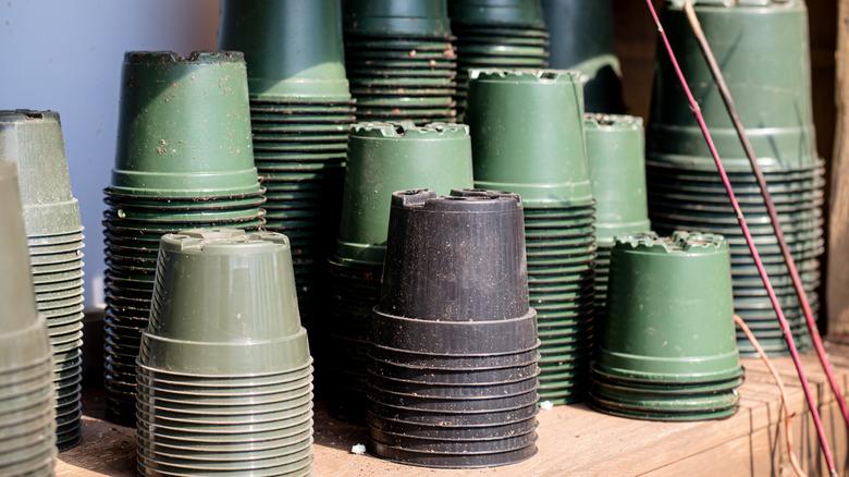 Lots of old green and black plastic nursery pots stacked on a shelf on the outside of a garden shed.
