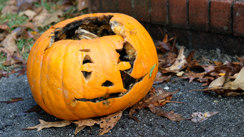 A rotting jack-o-lantern pumpkin in autumn