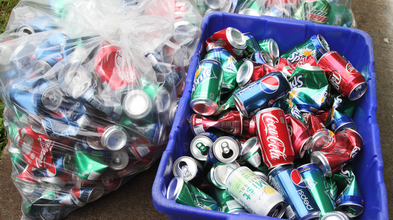 recycling bin full of cans