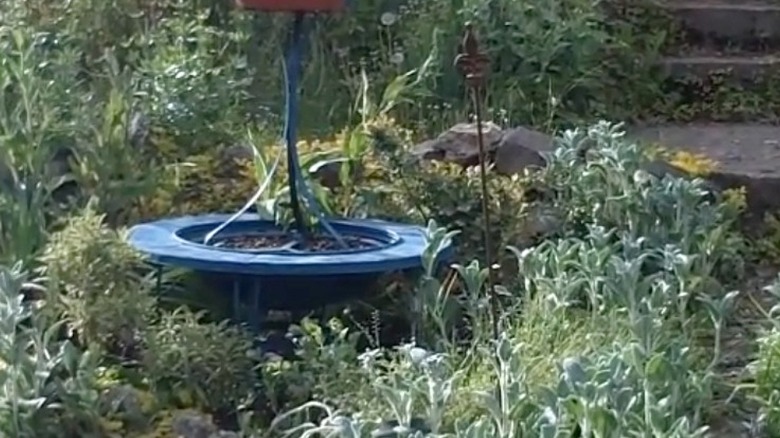 blue garden decor made from old fire pit
