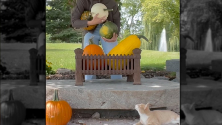 Old fire grate being used to hold pumpkins