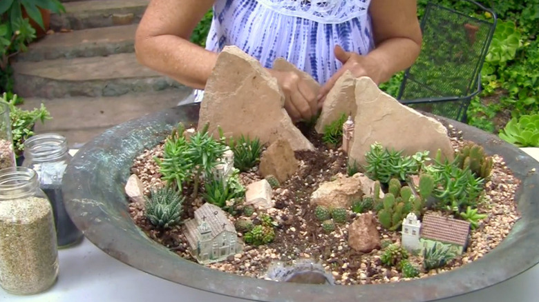 DIY succulents planter from an old fire pit