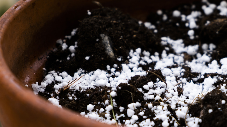 Polystyrene foam broken down into tiny pieces in a pot of soil.