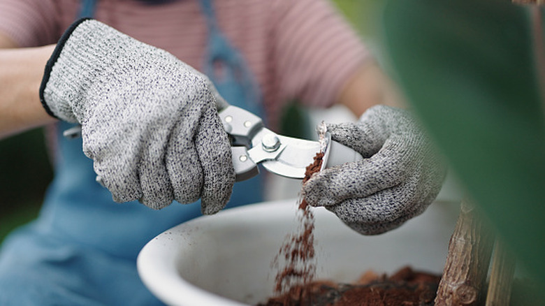 person adding compost with coffee grounds to the garden