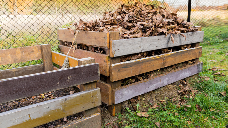 Composter with dried leaves added in front of a chain link fence