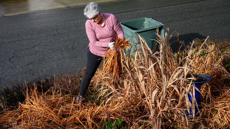 Woman doing winter yard clean up