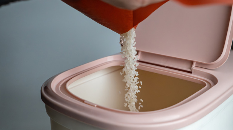 Pouring white rice grains into a plastic bin with a pink lid.
