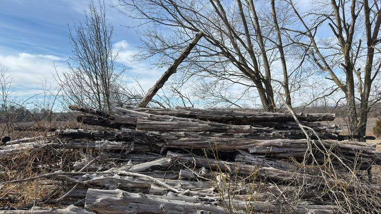 A pile of logs in a field.