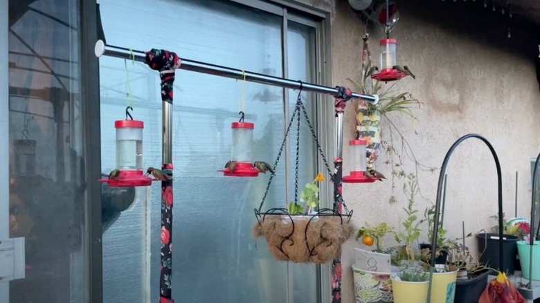 Hanging bird feeder station