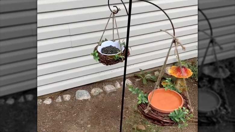 Hanging planter and bird bath combo