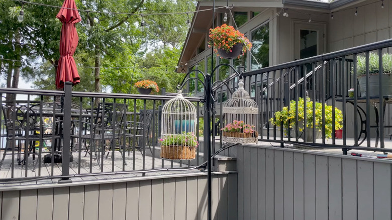 Two hanging bird cage feeders used as planters