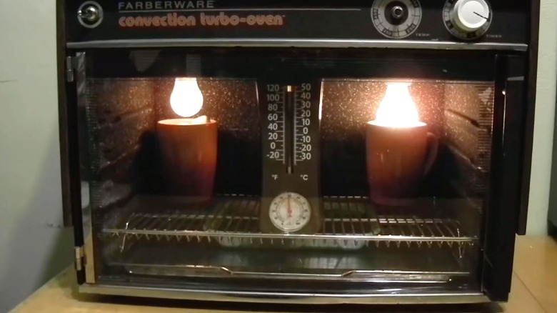 DIY chicken incubator made from old toaster oven