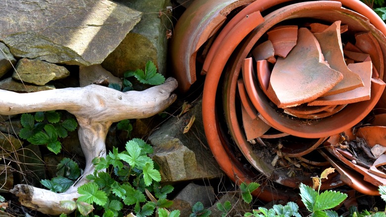 Old broken terracotta flower pots in the garden waiting to be reused.
