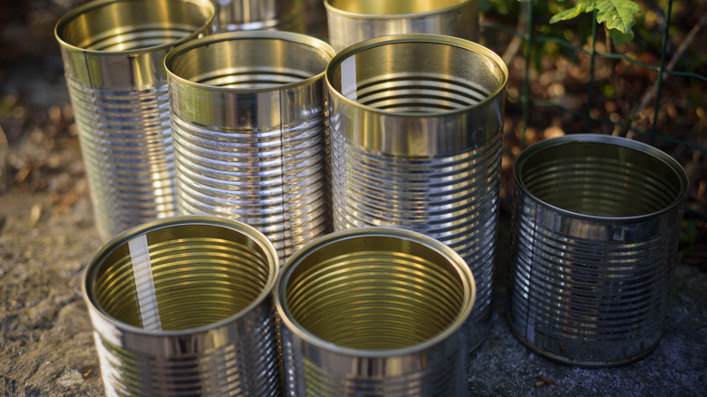 Close-up shot of empty tin cans in a garden.
