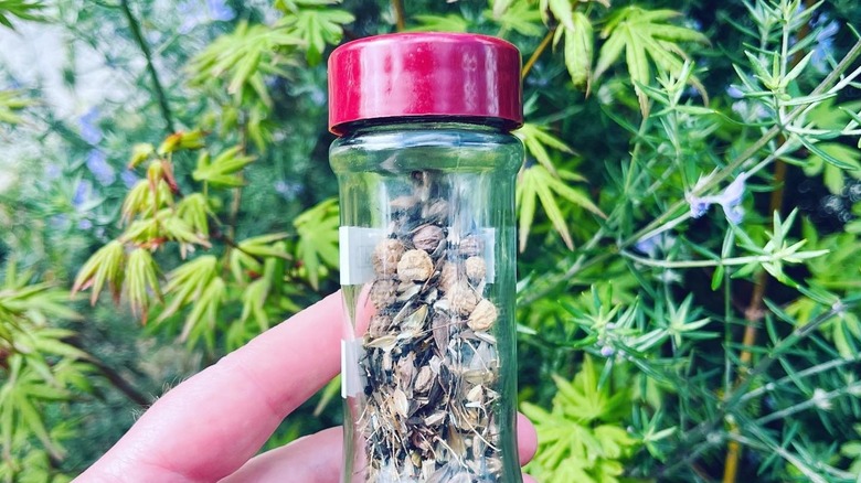 Person holding small jar with seeds inside