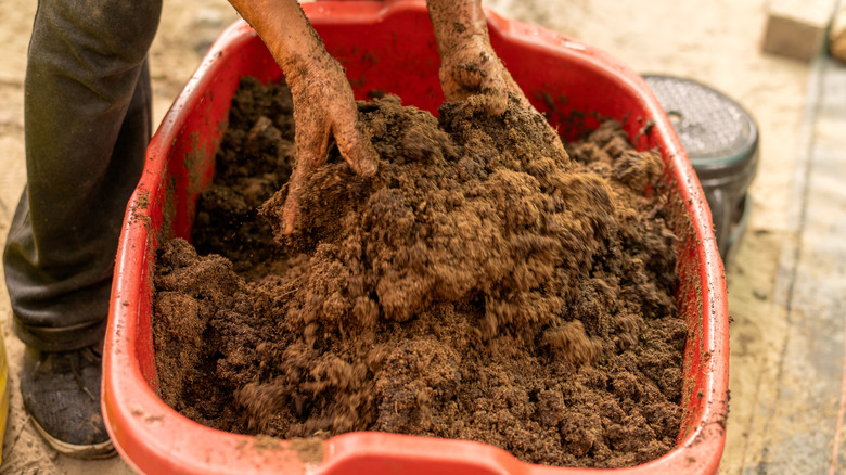 Hands mixing soil and compost in a red tub