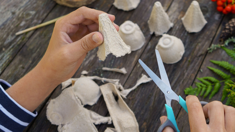 A person cuts up empty egg cartons made from paper pulp on a wooden tabletop.