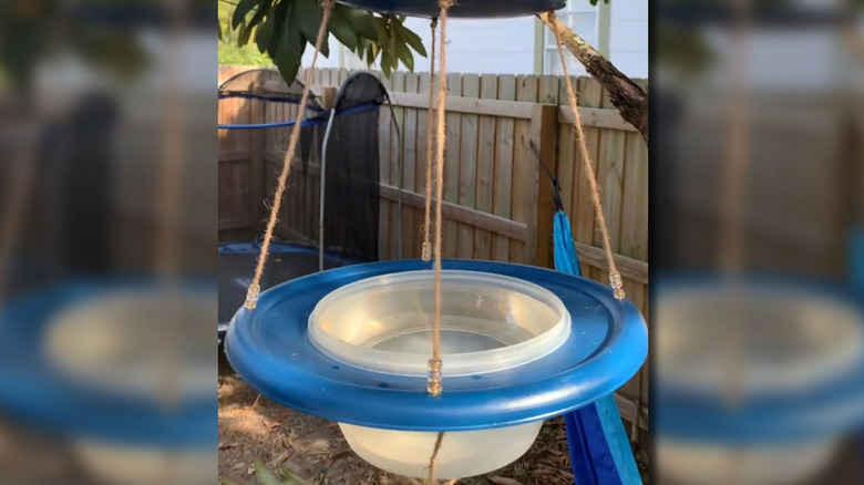 DIY bird waterer hang on tree branch