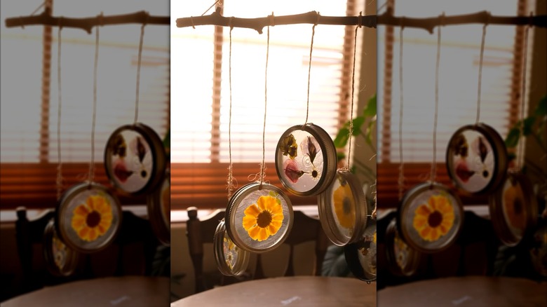 A hanging branch with wind chime mason jar lids.