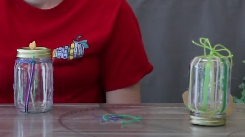 Someone making a butterfly feeder with mason jar.