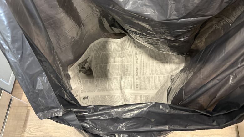 Newspaper lined inside Hefty bag