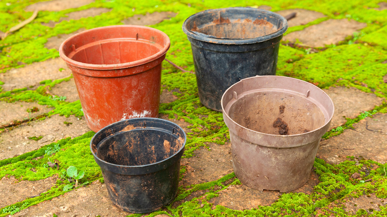Four old planter pots on a lawn