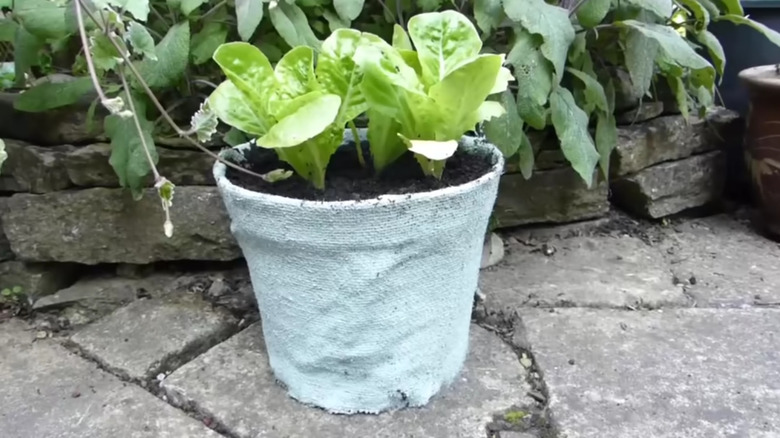 A planter pot that's covered with painted burlap