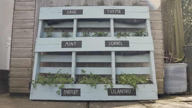 A vertical herb garden made from a wood pallet and painted light blue is propped up against a patio wall.