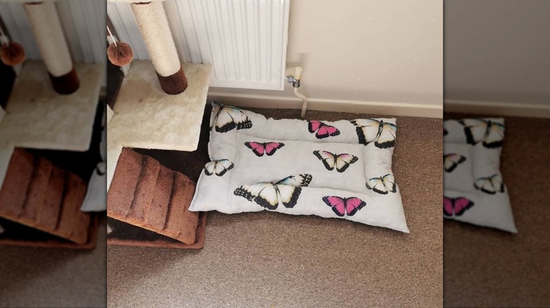 butterfly pillowcase pet bed
