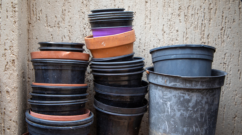 Stacks of plastic plant pots.