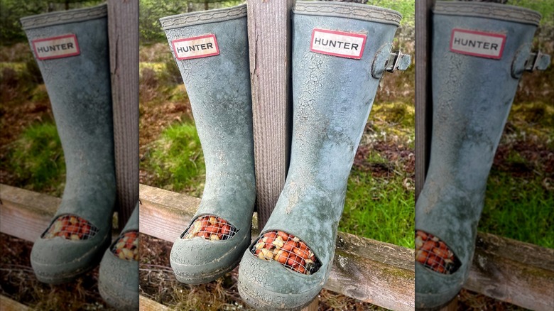 A pair of rain boots with a mesh bird food cutout on a wooden post