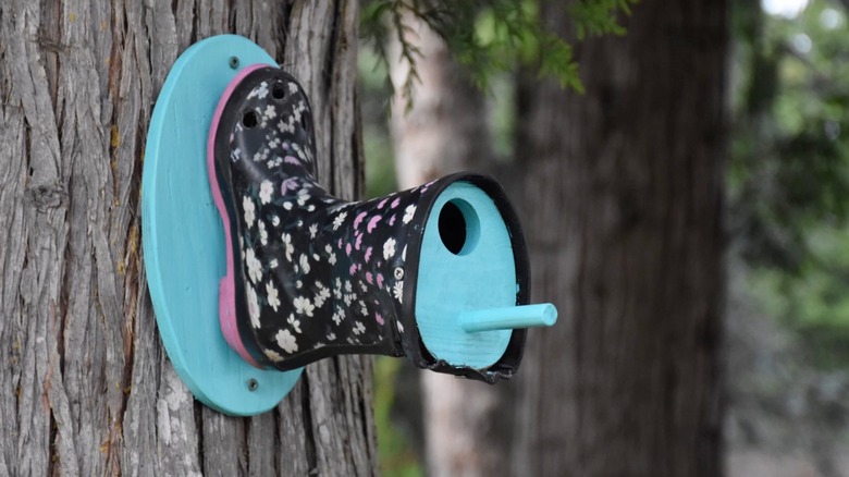 boot with bird opening and perch