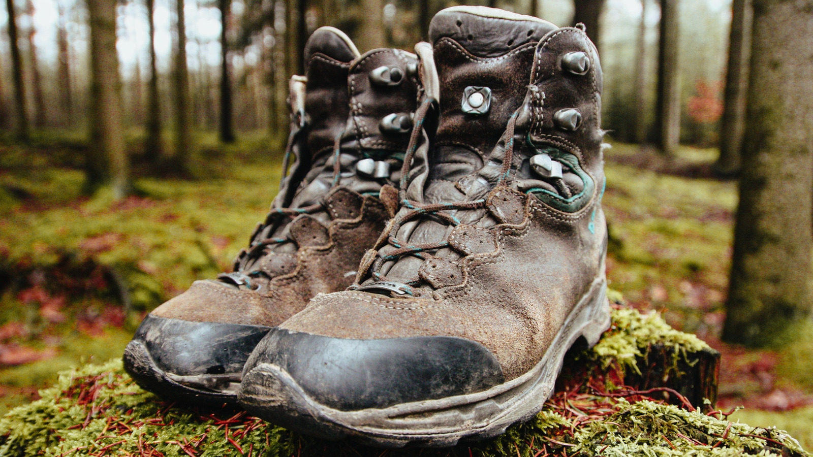 Don't Toss Old Shoes - Use Them As A Weighted Door Stop