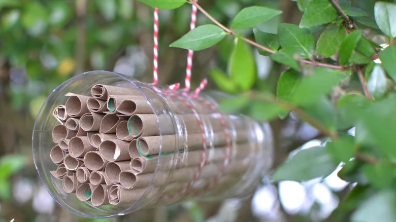 A plastic bottle bee hotel hanging from a raised platform