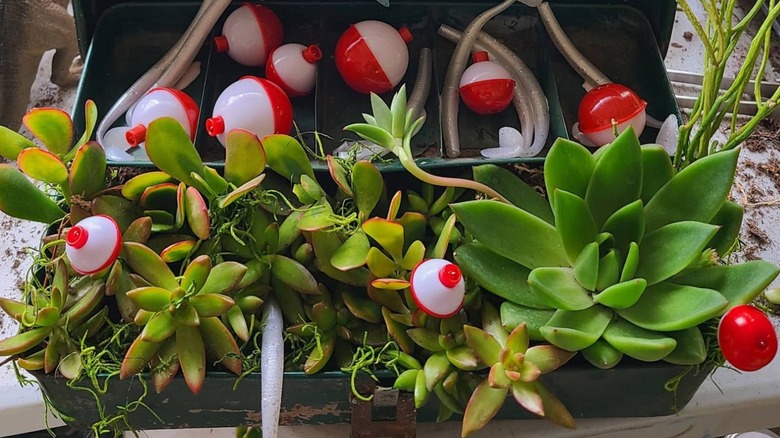 A green tackle box turned into a planter.
