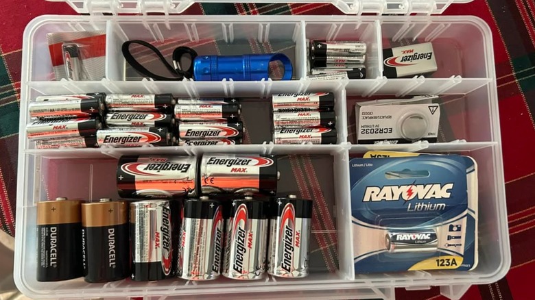A clear container holding different sized batteries.