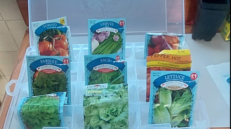 A clear container with seeds in the compartments.