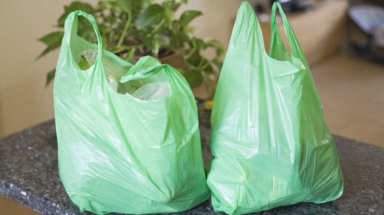 filled green grocery bags on a countertop