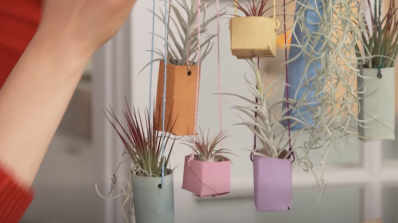 A person ties a blue string through a painted toilet paper roll tube formed into a planter. Several other air plants in painted cardboard tubes hang nearby