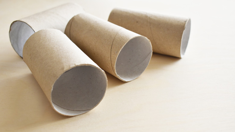 Four empty toilet paper rolls on a counter