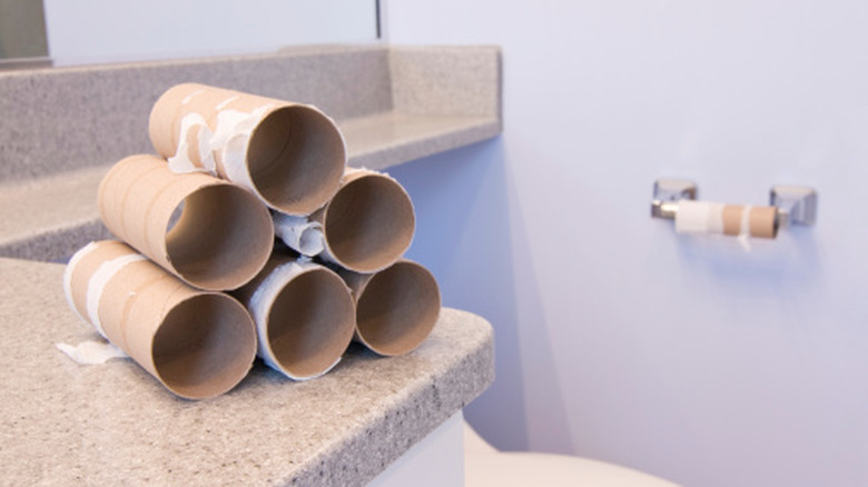 A stack of empty toilet paper rolls