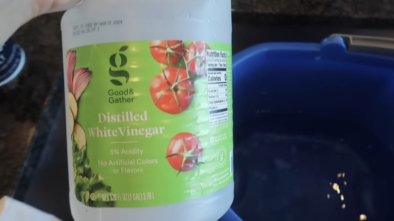 Closeup of vinegar about to be poured into bucket for broom cleaning hack