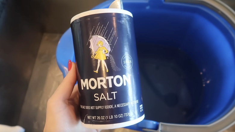 Close-up of salt in front of a bucket about to do broom cleaning hack
