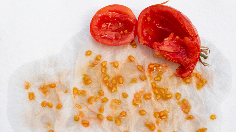 tomato and seeds 