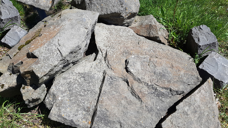 Chunks of greywacke sandstone outdoors