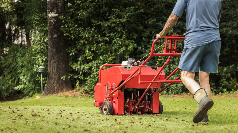 man using a heavy duty lawn aerator