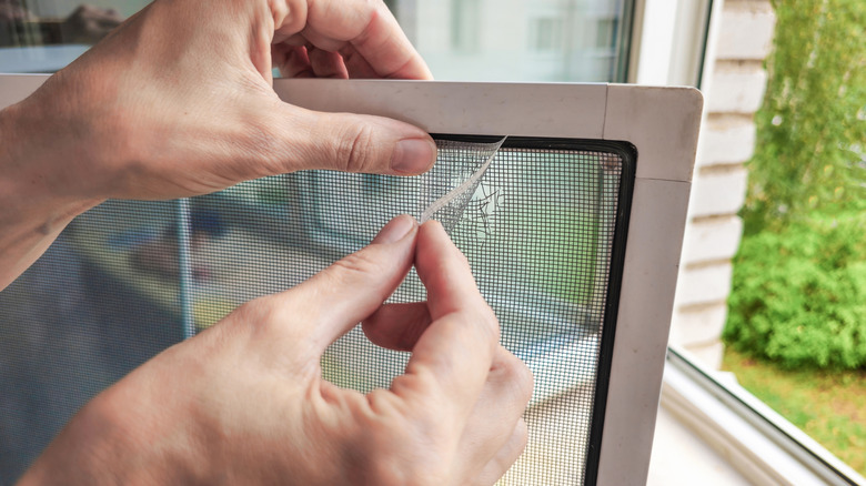A person using tape to repair a small hole in their window screen
