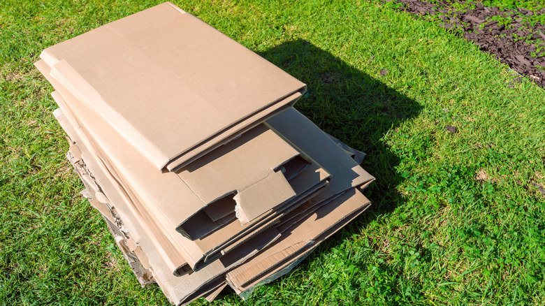 Cardboard slats resting on grass