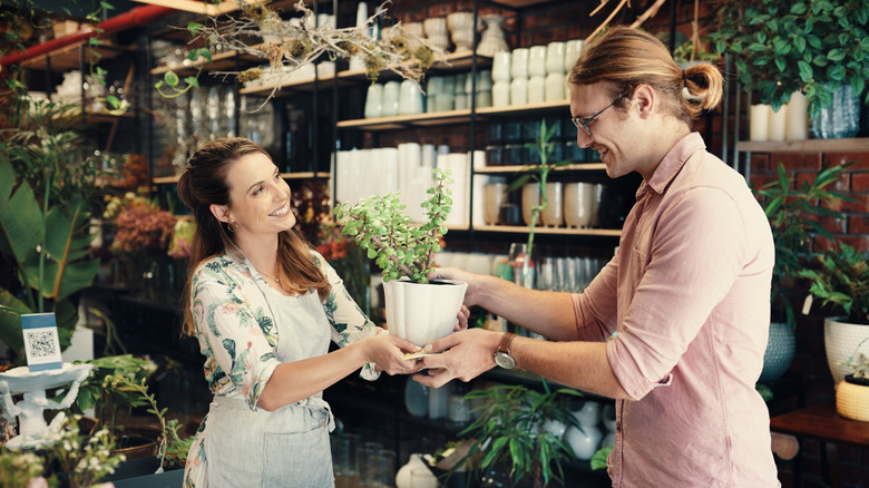 Retail worker hands customer a plant that seems well proportioned for its pot.