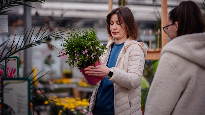 Woman inspects the pot of a nursery plant as another woman looks on.